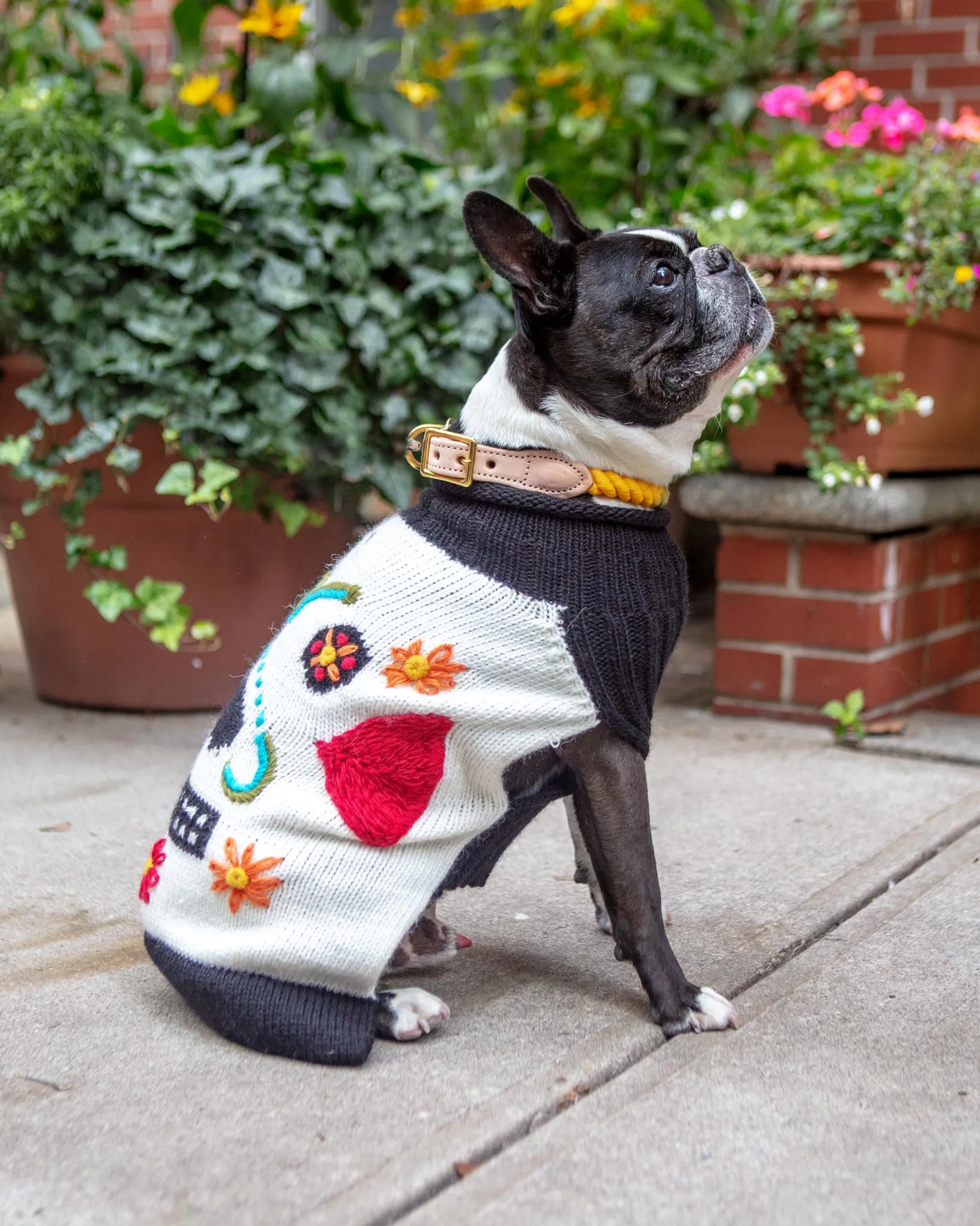 Day of the Dead Handknit Dog Sweater (FINAL SALE)