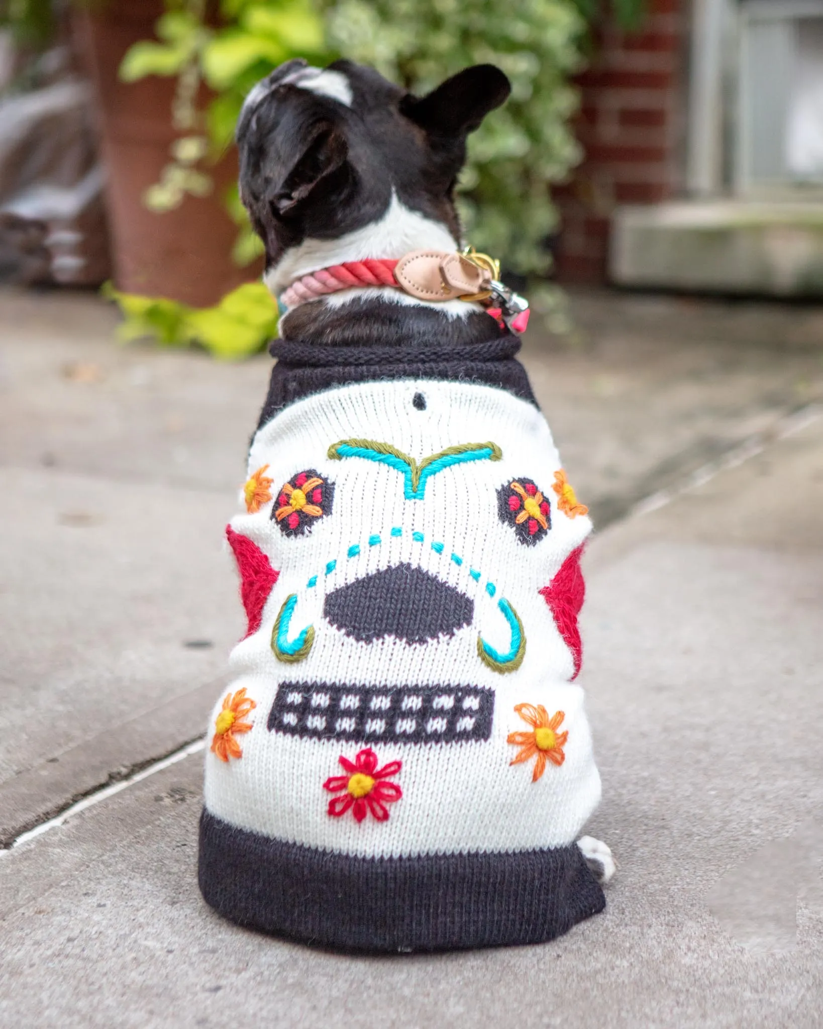 Day of the Dead Handknit Dog Sweater (FINAL SALE)