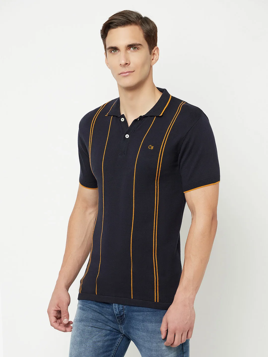 Men's Navy Blue Vertical Stripe Polo neck Half Sleeve Flatknit T-Shirt