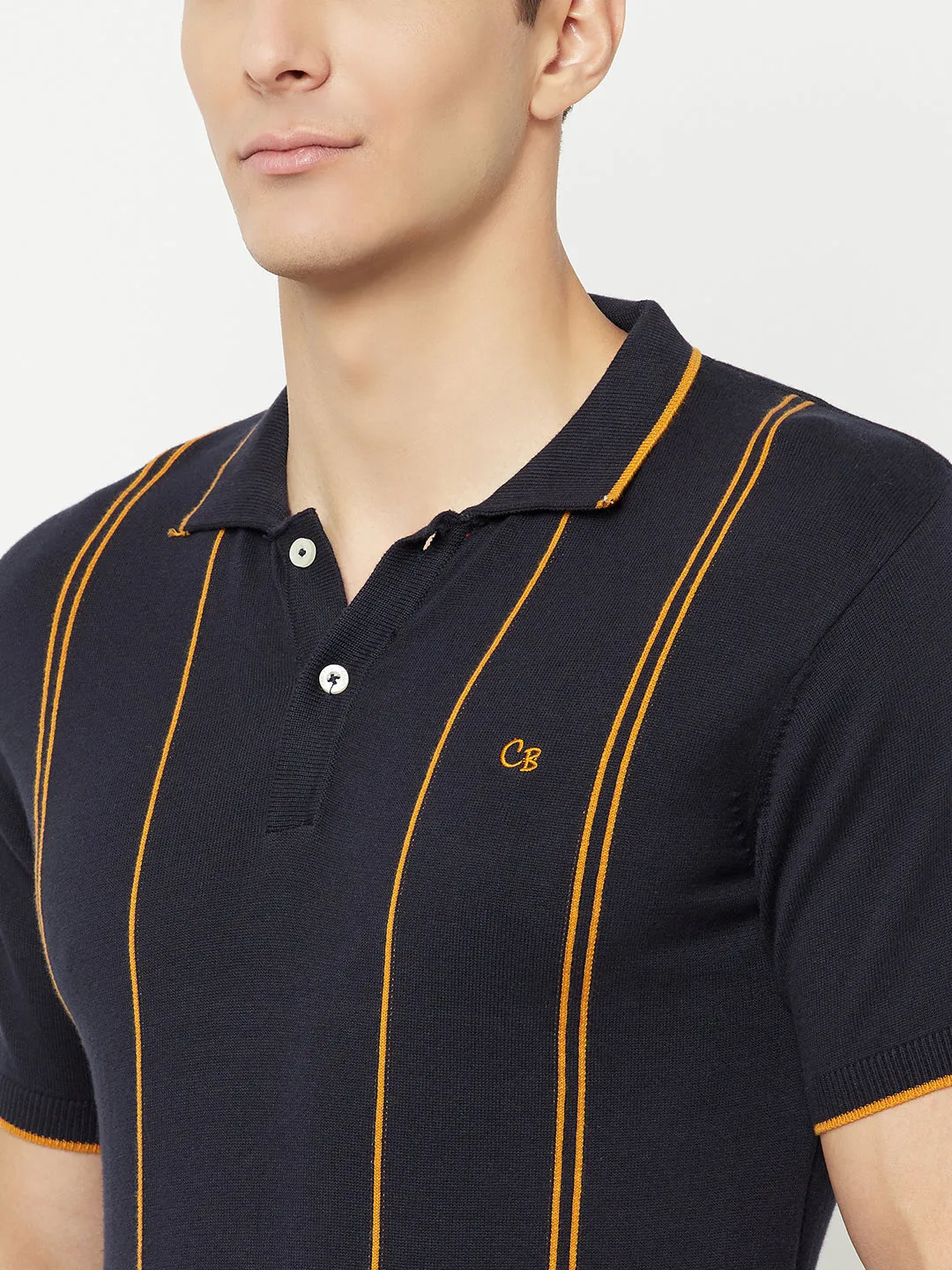 Men's Navy Blue Vertical Stripe Polo neck Half Sleeve Flatknit T-Shirt