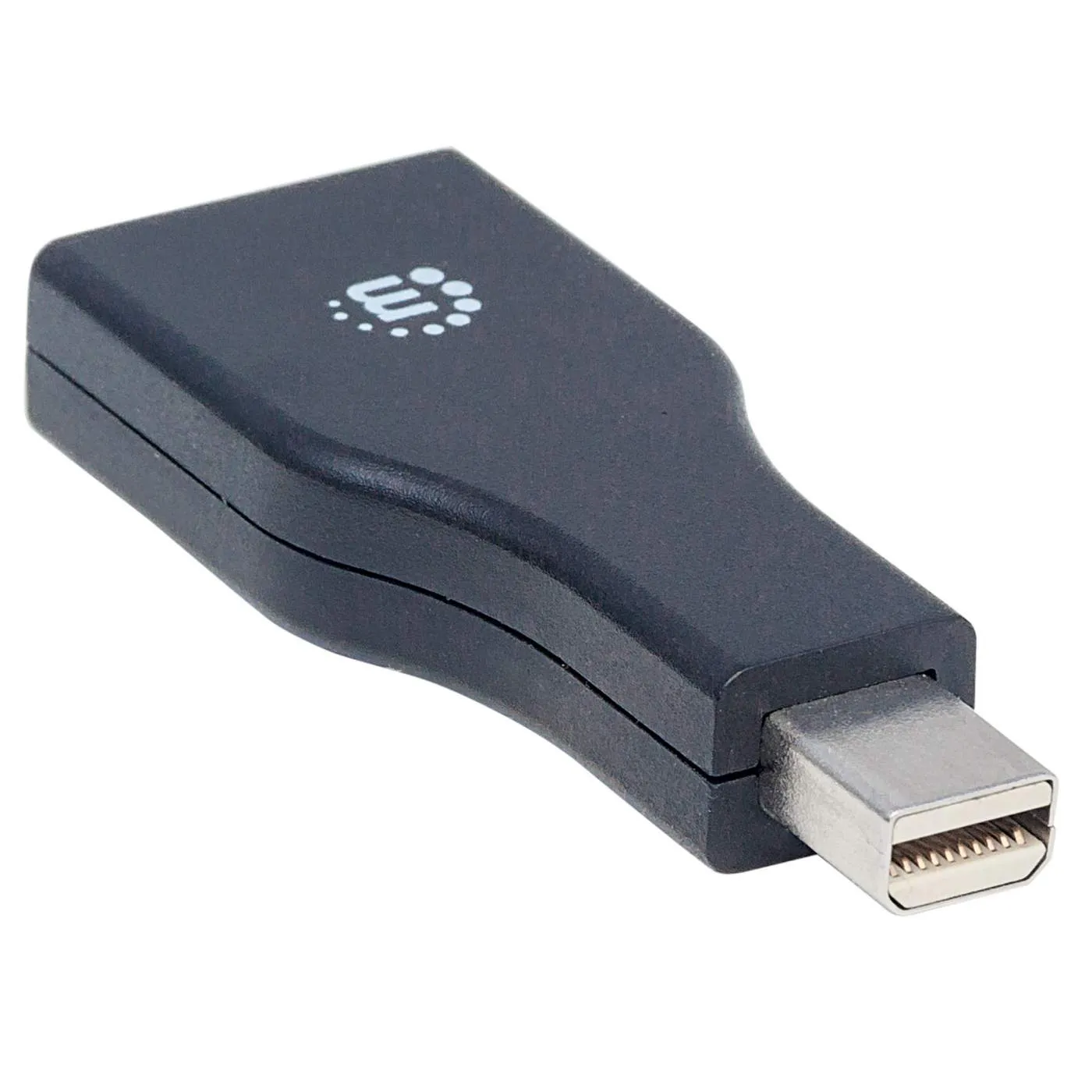 Mini DisplayPort to DisplayPort Adapter