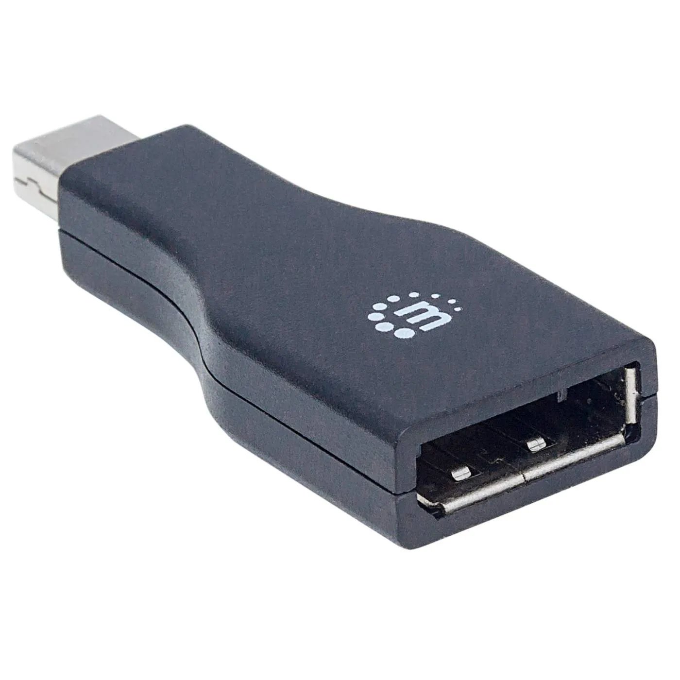 Mini DisplayPort to DisplayPort Adapter