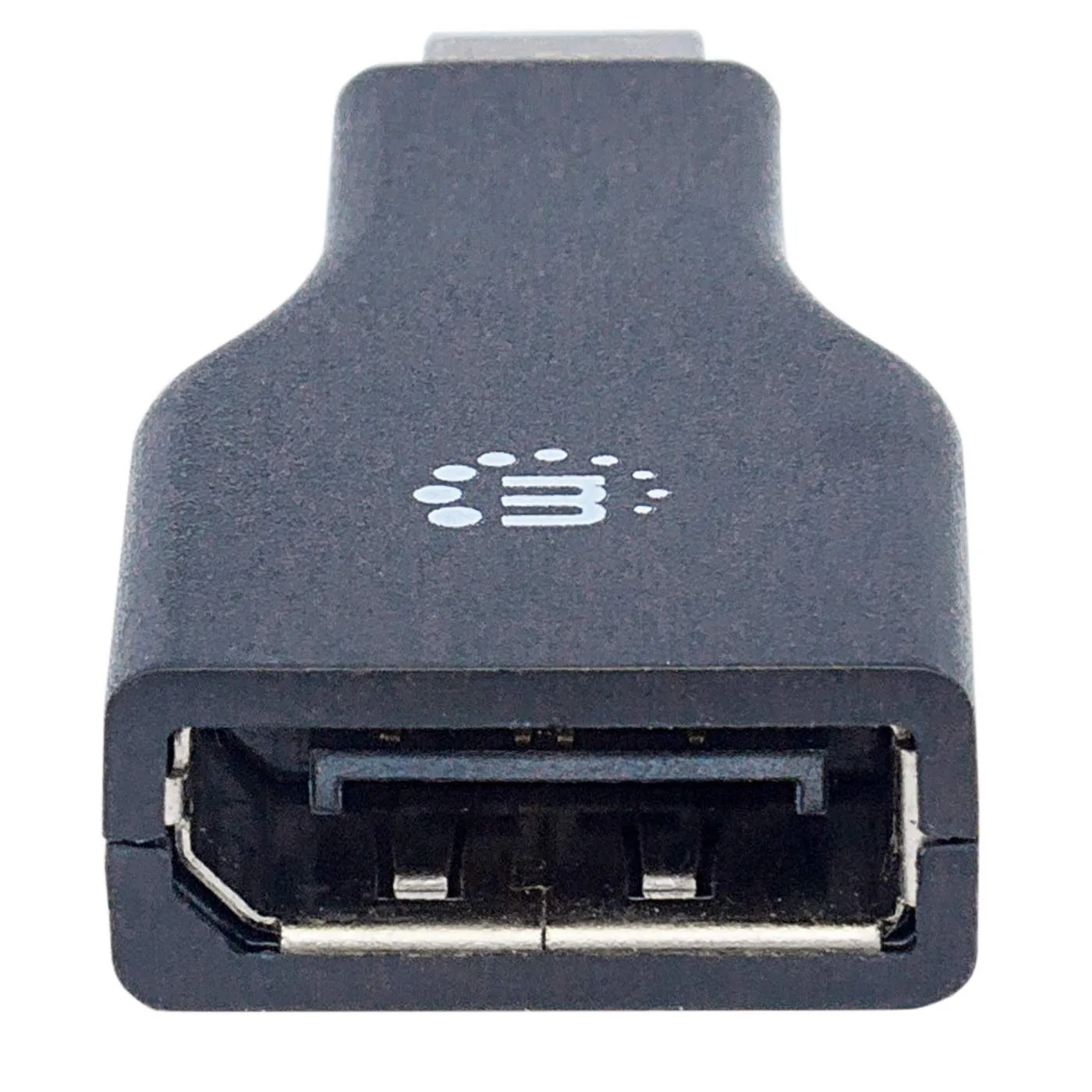 Mini DisplayPort to DisplayPort Adapter