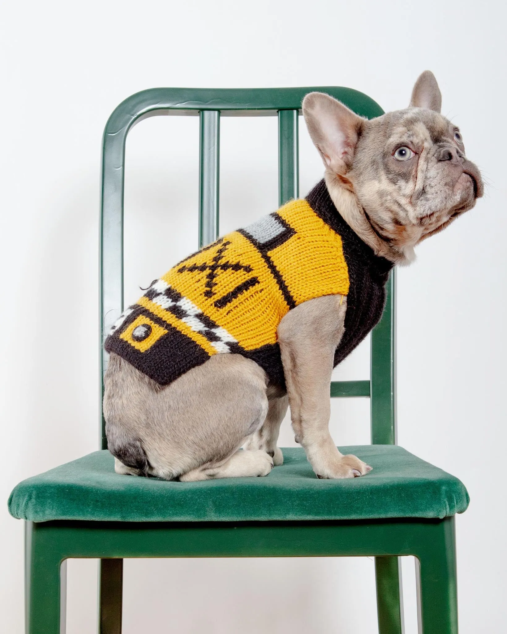 NYC Taxi Handknit Dog Sweater (Dog & Co. Exclusive)