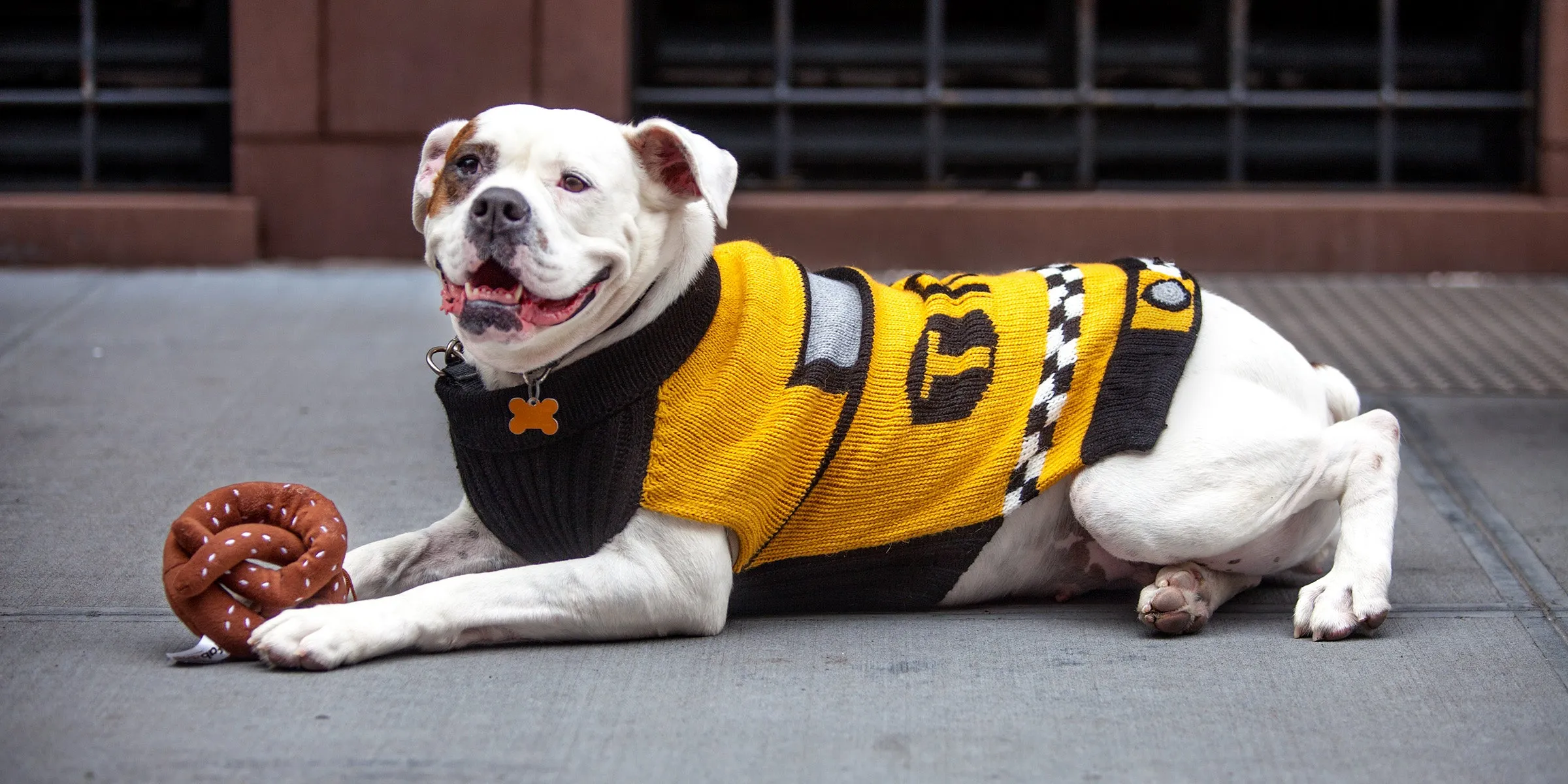 NYC Taxi Handknit Dog Sweater (Dog & Co. Exclusive)