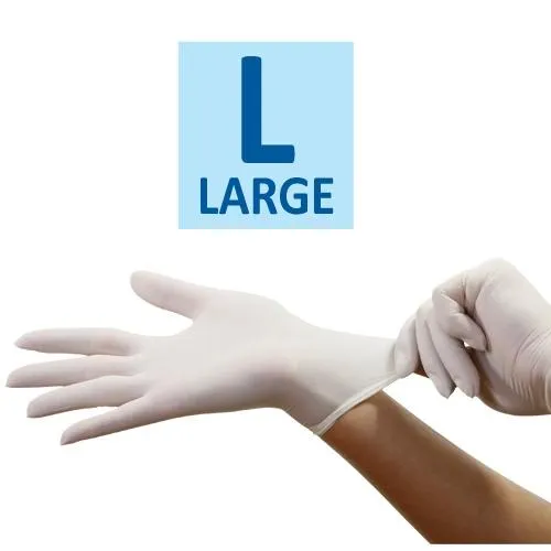 Premium Small Vinyl Powder Free Gloves