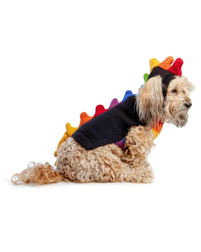 Rainbow Dragon Handknit Dog Sweater w/ Hood